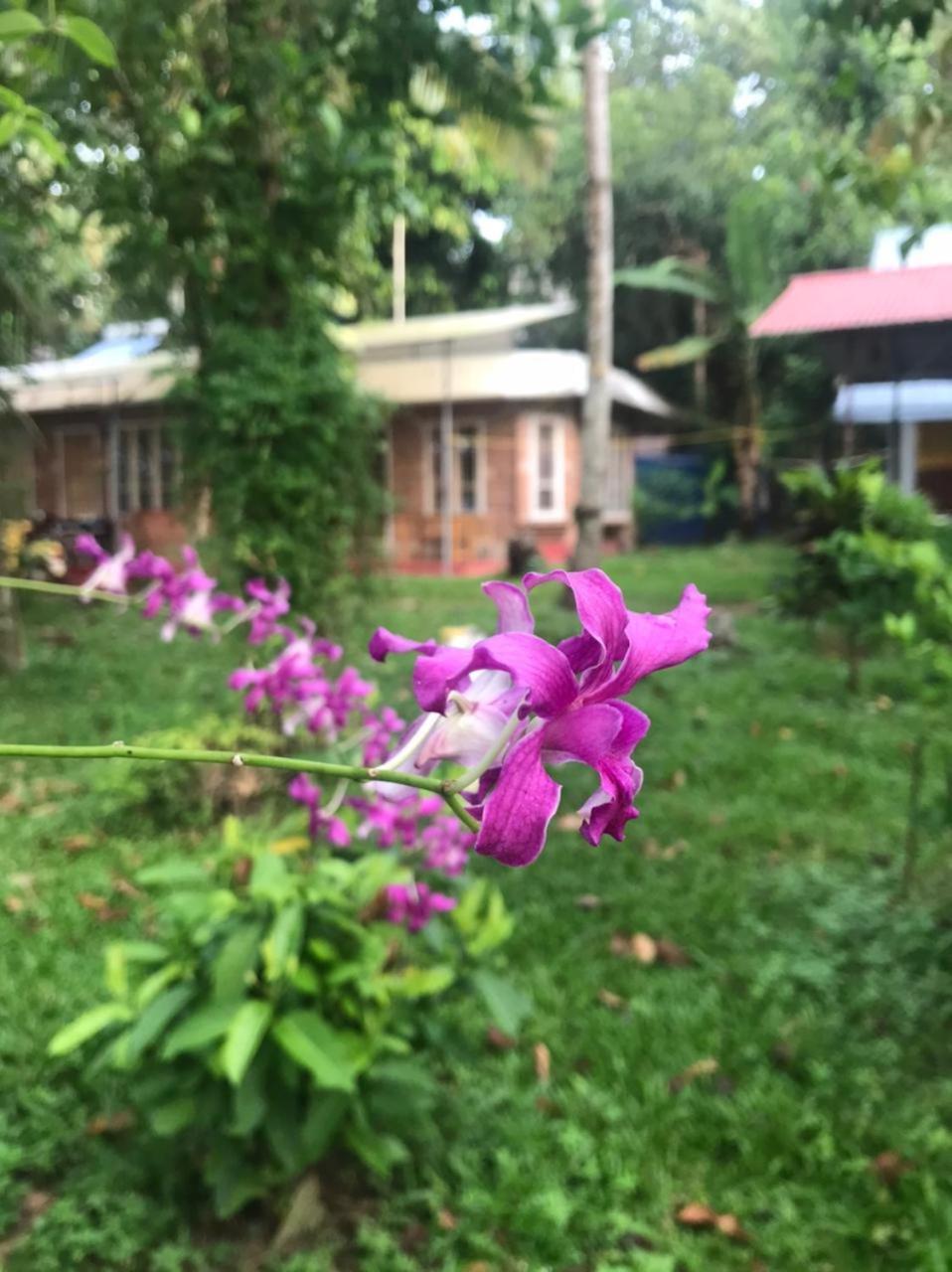 Ashtamudivillas Kollam Zewnętrze zdjęcie